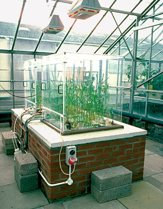 Growth chamber